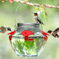 Miniatyrbillede 1 af 6: Mason Jar Kolibri Foder til Udendørs Ophængning, Glas Kolibri Foder med 4 Foderporte, Topfyldning Lækagesikker Design Nem at Bruge og Rengøre