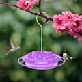 Miniatyrbillede 6 af 6: Kolibri Foderautomat med Indbygget Myretårn, 2023 Ny Kolibri Foderautomat med 24 Foderporte og Siddepinde, til Udendørs Hængende Have Dekoration Purple