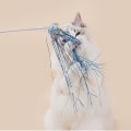 Miniatyrbild 7 av 7: Rolig Kattsticka Träning Interaktion Rolig Kattsak Feather Wand Rolig Kattleksak Blå Ring Papper