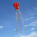 Miniatyrbillede 3 af 5: Kite Pakke 3 Farver Smuk Stor Let Flyver Drage til Børn-Software Blæksprutte-Den er Stor! 31 Tommer Bred med Lang Hale 157 Tommer Lang-Perfekt til Strand