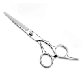 Pikkukuva 5 / 6: Hairdressing Scissors and Thinning Scissors with Case Advanced + Free Comb