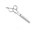 Pikkukuva 4 / 6: Hairdressing Scissors and Thinning Scissors with Case Advanced + Free Comb