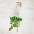 Miniatyrbillede 4 af 4: Wall hooks - Bamboo 2-pack Tree