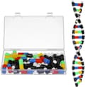 DNA-modelsæt, undervisningshjælpemiddel Model DNA Dobbelt Helix Molekylært Sæt Display Struktur til Skoleelev Videnskabsundervisning Pædagogisk Læring