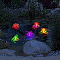 Miniatyrbild 4 av 7: Solar Pond Lights Vattentät LED RGB Solar Floating Lights Dragonfly
