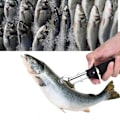 Miniatyrbild 4 av 7: Bärbart fiskegrepp i rostfritt stål, fiskegrepphållare, stark klämkraft, fiskkontroll (#1)