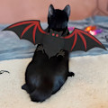 Miniatyrbild 3 av 5: Katt Halloween Kostym Husdjur Fladdermusvinge med Pumpaformade Bjällror Tillbehör för Valp Kattunge Halloweenfest Kostymtillbehör Style 4