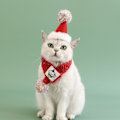 Miniatyrbild 4 av 5: Tomtehatt med halsduk för katt, julhattar för katter, tomtekostym för husdjur, julhatt för katt, kanin, valp, docka Style 3