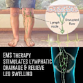 Miniatyrbild 5 av 5: Elektrisk EMS Fotmassage Pad Fötter Akupunktur Stimulator Massage fjärrkontroll One-size