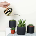 Miniatyrbild 3 av 4: Kompakt Design Vattenkanna i Rostfritt Stål, Perfekt För Inomhusväxter Suckulenter Örter, Med Lång Pip Och Ergonomiskt Grepp För Precis Vattning,