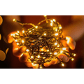 Miniatyrbilde 6 av 6: Klassisk Varmhvit LED-lys, lengde 10 m, 220 V med støpsel