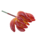 Pikkukuva 2 / 5: 2,95' keinotekoinen mehikasvi Echeveria toimistokodin sisustus DIY #9