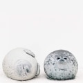 Pikkukuva 3 / 5: Chubby Blob Seal -tyyny, täytetty puuvillainen pehmolelu Söpö Ocean Medium (17,6 tuumaa)