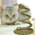 Miniatyrbild 2 av 5: Plysch Cat Squeaky Toy 1st Kitten Supplies Interactive Snake Toy, Long Tail Snake Interactive Toy, Tillbehör för innekatt, present till kattälskare
