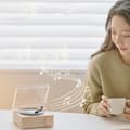 (Rosa) Retro Vinyl Skivspelare Stil Bluetooth Högtalare Gramopho
