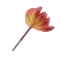 Pikkukuva 3 / 5: 2,95' keinotekoinen mehikasvi Echeveria toimistokodin sisustus DIY #9