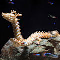 Miniatyrbillede 7 af 8: 3D-printet artikuleret Drage Fisketank landskabsarkitekturdekoration C 60CM
