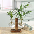 Miniatyrbild 11 av 11: Hydroponisk Transparent Glas Vas Planter Träram Blomma Va C One-size