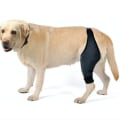 Miniatyrbilde 1 av 4: Knebeskyttelse for hund, cap, artritt - Holder leddet varmt - Ekstra støtte - Reduserer smerte XL Left