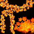 Miniatyrbild 1 av 5: [2Pack] Höstdekor för Thanksgiving-dekorationer Ljus höst