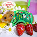 Miniatyrbillede 4 af 11: Kanin Veste Små Kæledyr Dyr Sele Snor Sæt Flugtsikker Sød Julekostume Rød/Grøn til Hamstermus Marsvin Red L
