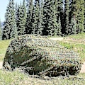 Miniatyrbild 3 av 5: Camo Nät Solskydd Kamouflage Nät Persienner Uteplats Mesh Nät för Camping Skytte Jakt Desert 2m by 4m