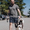 Miniatyrbilde 3 av 5: Hundekobbel, 1,3 meter høyt kraftig hundekobbel med komfortabelt håndtak