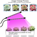 Miniatyrbillede 2 af 5: Vækstlampe / plantelampe med 2 fleksible LED lysstofrør
