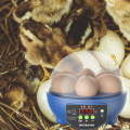 Miniatyrbild 4 av 5: USB 6 Eggs Incubator Automatisk Äggvändare för att kläcka fåglar och