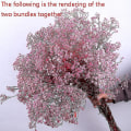 Miniatyrbild 5 av 5: Naturliga färska torkade blommor Gypsophila Bukett Bröllop Heminredning rose Red