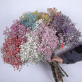 Miniatyrbild 2 av 5: Naturliga färska torkade blommor Gypsophila Bukett Bröllop Heminredning rose Red
