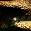 Miniatyrbilde 4 av 5: 2-pakning Ed Ock, Reptile Climbing R, Lizard Lounr 100 % sjøgress Fa Ock for reptiler *chyi