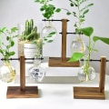 Miniatyrbild 9 av 11: Hydroponisk Transparent Glas Vas Planter Träram Blomma Va C One-size
