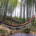 Pikkukuva 2 / 5: Puutarha riippumatto tyylikkäillä hapsuilla Makrame riippumatto sänky terassille, pihalle.Camping sisä- ja ulkopuutarha riippumatto keinu matkalaukulla COLOR