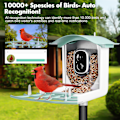 Miniatyrbillede 2 af 5: Smart videokamera fuglefoder med solpanel automatisk optagelse fugleobservation
