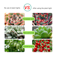 Miniatyrbillede 3 af 5: LED 5V fuldt spektrum plantevækstlys USB-plantelys med rør velegnet til plante- og blomsterdrivhustelt hydroponics 2M