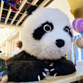 Miniatyrbilde 5 av 6: Oppblåsbar Panda Plysj Maskot Kostyme, Halloween Jumpsuit