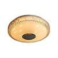Miniatyrbilde 5 av 5: 36W LED-taklys med Bluetooth-høyttaler, RGB-fargeendring, dimbar, for soverom, kjøkken, bad