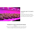 Miniatyrbillede 4 af 5: LED 5V fuldt spektrum plantevækstlys USB-plantelys med rør velegnet til plante- og blomsterdrivhustelt hydroponics 2M