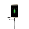 Miniatyrbillede 3 af 4: Native Union Eco Belt Universal Kabel (2m) Zebra