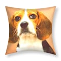 Pikkukuva 1 / 4: 2 kpl 40x40 cm Beagle-koira kuvio tyynynpäällisiä ruskea