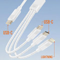 Miniatyrbild 3 av 5: USB-C till Lightning-kabel - LINQ - 1,2 m - 60W snabbladdning - USB-C och Lightning-kompatibel Vit