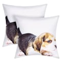 Pikkukuva 2 / 4: 2 kpl 40x40 cm Beagle-valkoinen tyynyliina setti