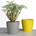 Pikkukuva 5 / 5: Pohjoismainen tyyli kukkaruukku kasvien säiliö - Koti puutarha koriste 13.5 * 12.5cm Keltainen