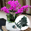 Miniatyrbillede 5 af 8: 200 stk. smukke rosespidsformede planteclips til haven - Støtteclips til blomsterstilke - Fastgørelsesværktøj - Tilbehør - Grøn