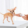 Miniatyrbilde 2 av 5: Hund Negleklipper, Elektrisk Stille Kloklipper For Hunder, Smerteløs Neglfil, Passer For Små Til Store Hunder Og Katter Rosa