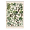 Pikkukuva 2 / 5: Vintage Trees print - 4 set 30 x 40 cm Vintage Tree -kuvia
