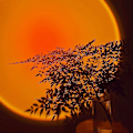 Miniatyrbillede 4 af 5: Projektionslampe med roterende regnbue LED-lys, solnedgang natlys projektor til fest og soveværelsesindretning (solnedgang rød)