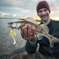Miniatyrbild 3 av 8: 3 st feta huvud artificiell bete swimbaits fiskebeten set fiskeutrustning tillbehör005