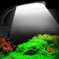 Miniatyrbillede 5 af 8: Akvarie LED-lys til vandplanter, klemmelampe, 220-250V EU-stik